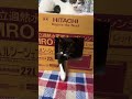 箱の中で出番を待つハチワレ猫🐱tuxedo catざきお　アメショ雑種あおい【猫動画】