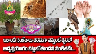 ఇలాంటి సంకేతాలు తరచుగా వస్తుంటే అదృష్టయోగం | GOOD LUCK Sign Astrology Adrusta Yogam | Telugu Udayam