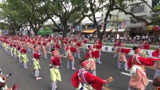 ほにや（よさこい祭り2014）全国大会・追手筋