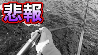 人の不幸を笑いたい方必見！釣りが出来なくなりました【和歌山グレ釣り】