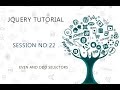 JQUERY TUTORIAL FOR BEGINNERS   22   EVEN AND ODD SELECTORS