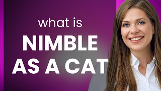 Nimble as a Cat: Exploring Expressive English Phrases