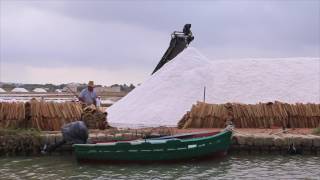 Trapani Natural Salt Production 2016