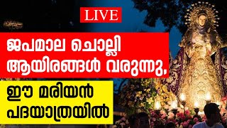 ജപമാലചൊല്ലി ആയിരങ്ങൾ വരുന്നു, ഈ മരിയൻ പദയാത്രയിൽ| Sunday Shalom | Latest Church News