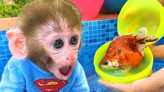 Monkey Baby Bon Bon and puppy open Surprise eggs contain So cute ducklings, koi fish, goldfish