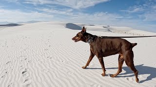 New Mexico, Las Cruces, Carlsbad Caverns, White Sands National Park