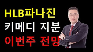 HLB파나진 소식과 키메디 지분 체크 \