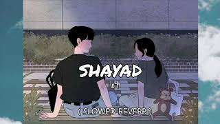 Shayad||Slowed Reverb || Love Aaj kal||Arjit Singh