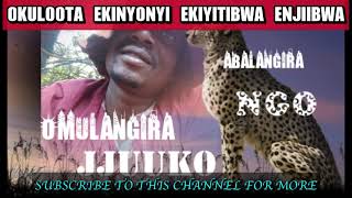 Okuloota ekinyonyi ekiyitibwa Enjiibwa - Omulangira jjuuko Munabuddu