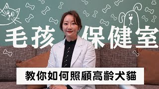 【毛孩保健室】教你如何照顧高齡犬貓｜小姐愛美力