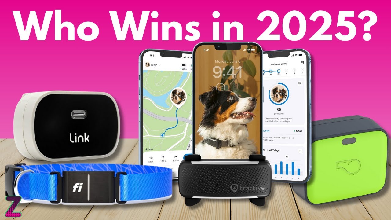 ёяшнtop 5 Best Dog Gps Trackers 2026 Buyer S Guide Youtube