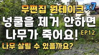 [Unedited, 7x speed video] If you don't remove the vines, the tree will die! /Papa and Young /EP12