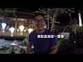 台東越夜越樂鬧～相隔五年鐵花村重遊～酥酥現場演唱滿滿的浪漫回憶！