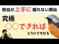 いいカメラでも野鳥写真が綺麗に撮れない理由は？《野鳥撮影解説》