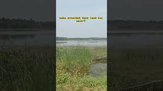 Lakeview With Tar road attached farm land 90 lakhs pee acer