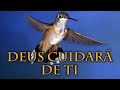 Hinário Adventista 373 - DEUS CUIDARÁ DE TI