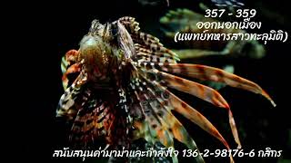 แพทย์ทหารสาวทะลุมิติ 357 - 359 ตอน ออกนอกเมือง จุดจบของหลี่เซี่ยง