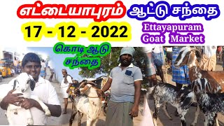 17 - 12 - 2022 / எட்டையாபுரம் ஆட்டு சந்தை / Ettayapuram Goat Market  / @tamilvivasayi