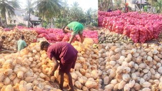 Coconut/Full Naar Full condition/Wholesale supplier/7418177226/Mandi in Krishnagiri Tamilnadu