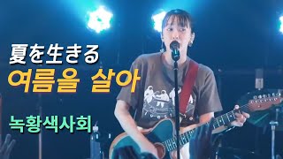 [緑黄色社会] 녹황색사회 - 여름을 살아 夏を生きる LIVE (가사해석/한글자막) 20240727 'Livestone vol.1'