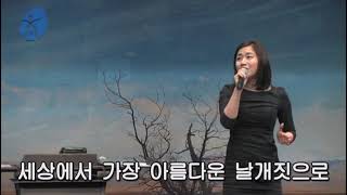 나비(소향) - 한가영 / 청운교회 찬양예배 특순