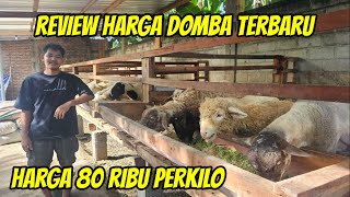 REVIEW HARGA DOMBA TEXEL 80 RIBU PERKILO DI KURAWA FARM KEDIRI