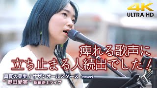 【 圧巻の歌声 】痺れる歌声に立ち止まる人続出でした！　真夏の果実 / サザンオールスターズ（cover） \