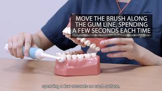 Proper Tooth Brushing Techniques