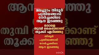 മലപ്പുറം തിരൂർ പുതിയങ്ങാടി നേർച്ചക്കിടെ ആന ഇടഞ്ഞു