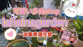 vol.52 🌵lahainagardenさんに行ってきました〜滋賀県蒲生郡〜