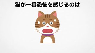 猫好きでも98%の人が知らない猫に関する面白い雑学