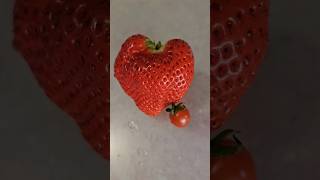 #Huge#Heart#Strawberry#巨大#心型#士多啤梨#草莓#shorts