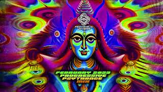 February 2023 Progressive Psytrance DJ Mix