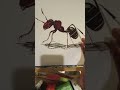 ant painting