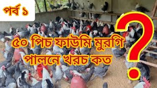 ৫০ পিচ ফাউমি মুরগি পালনে খরচ কত ? ফাউমি মুরগি পালন। ফাউমি মুরগি পালন পদ্ধতি (পর্ব-১)