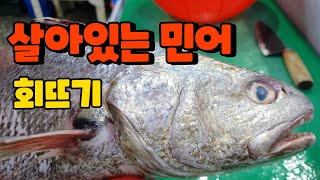 [살아있는 민어 회뜨기!] 활민어를 손질해서 처음으로 먹어봤어요^^ How to fillet wild live Croaker. [수아아빠TV]