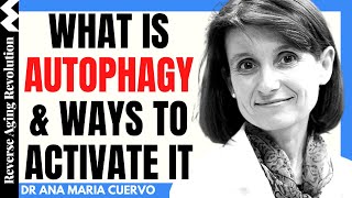 What Is Autophagy And Ways To Activate It In Our Daily Life | Dr Ana Maria Cuervo Interview Clips