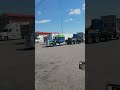 dieseltruck bigrig peterbilt volvo ownerop truckstop pilot shorts