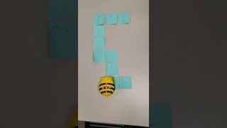 Coding - Bee Bot #2