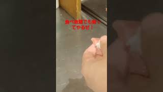 肉の美山　水島店　食べ放題なのに、ガチで握る定員！　増税にも熱さにも負けない！お寿司！　岡山県倉敷市水島　食べ放題バイキング