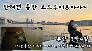 [반려견 동반 힐링여행] 애견동반 여행코스_애견동반 요트투어, 애견동반 아로마 마사지, 광안리해수욕장, 해운대 더베이101 (부산3박4일)