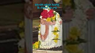 ధన్వంతరి అమృత కలశాన్ని ఈ లింగంలో ఉంచారు #templediaries #dwadasajyotirlingam #mahasivaratri