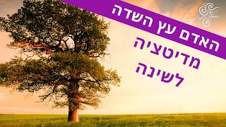 האדם עץ השדה 🌴 מדיטציה לשינה 🌴 דמיון מודרך 🌴הירדמות