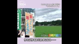 【今日のひとこと】農業を守る政治への転換を(2022.07.04)【岩渕友】 #shorts