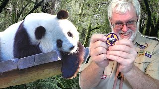 World Conservation Award
