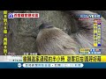 動物園