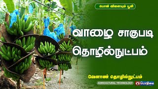 வாழை சாகுபடி தொழில்நுட்பம் | Agricultural Technology