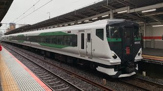 E257系5500番台　ホリデー快速鎌倉　武蔵野線南浦和駅発車