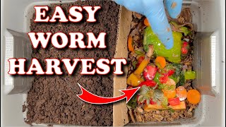 Separating Worms From Castings The Easy Way | Vermicompost Worm Farm