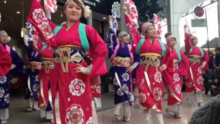 よさこい ほにや 2017年の踊り始め その②